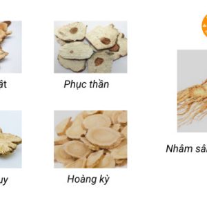 thành phần Viên quy tỳ dành cho vợ